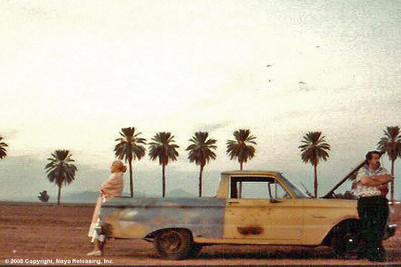 A scene from "How the Garcia Girls Spent their Summer."
