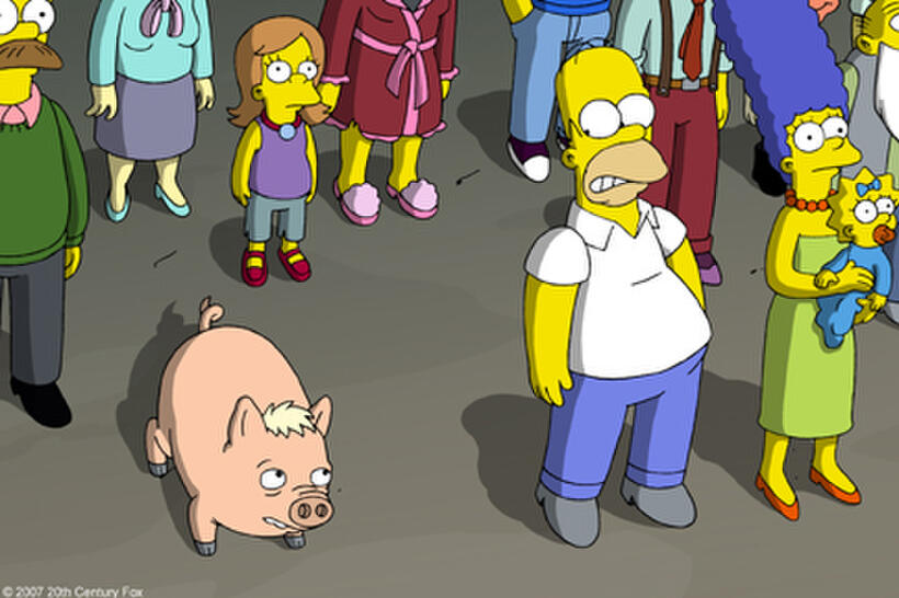 The residents of Springfield look up in awe and fear as a disaster affecting the entire town is “contained” by the Environmental Protection Agency. The culprits that triggered this catastrophe are Homer and his new pet pig in "The Simpsons Movie."