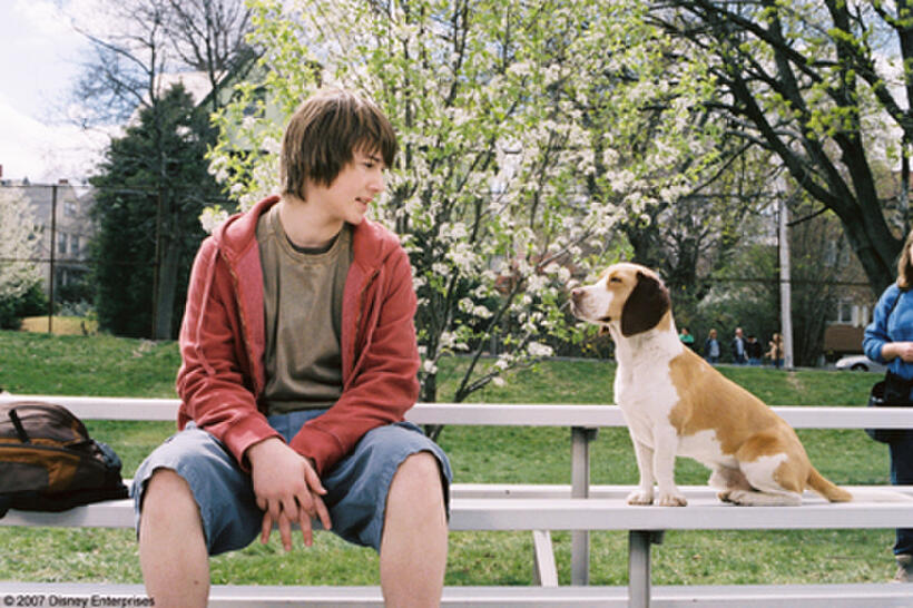 Underdog Movie Tickets & Showtimes Near You Fandango