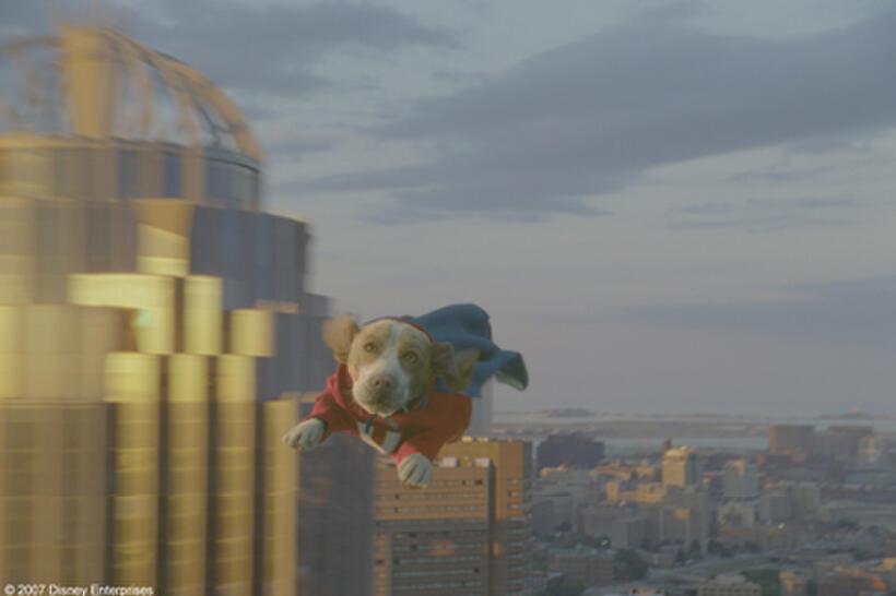 A scene from the film "Underdog."