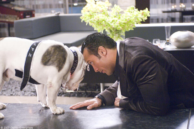 The Rock in "The Game Plan."