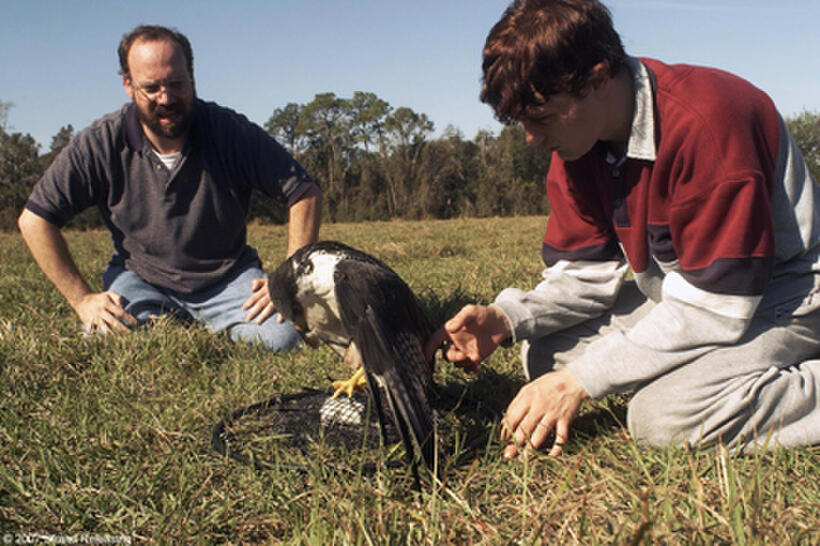 A scene from "The Hawk is Dying."