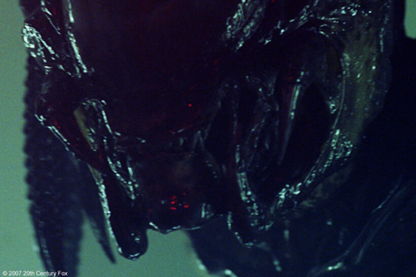 A scene from "Alien vs. Predator: Requiem."