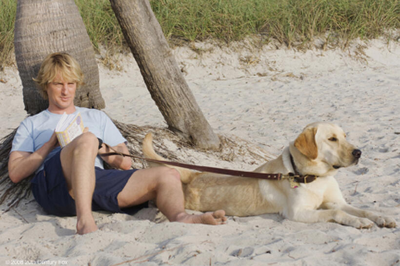 Owen Wilson as John Grogran in "Marley & Me."