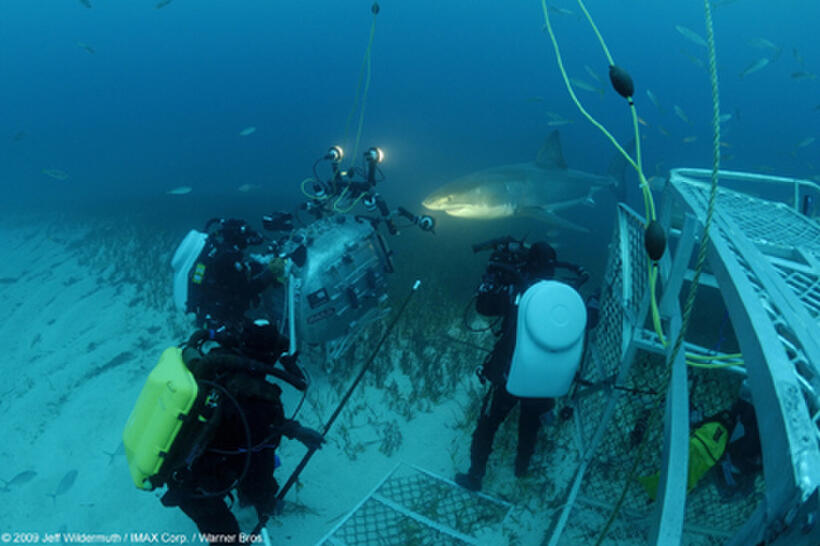 Director Howard Hall, cameramen Peter Kragh and Mark Thurlow, film a Great White Shark in the waters of the North Neptune Islands of South Australia in "Under the Sea 3D."