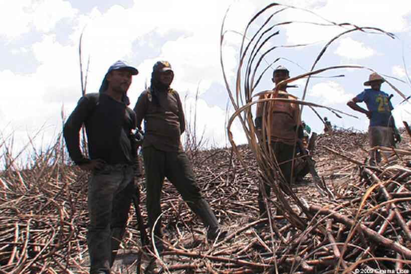 Cane cutters in "The End of Poverty?"