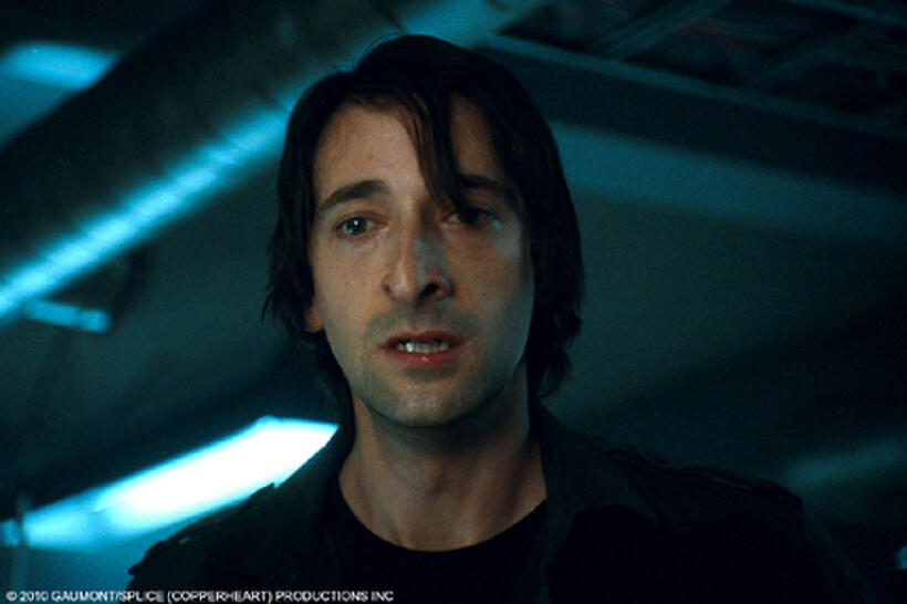 Adrien Brody as Clive in "Splice."
