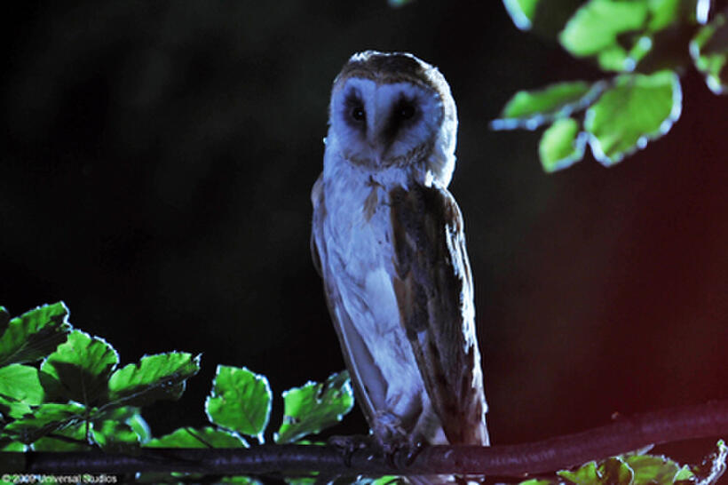 A scene from the film "The Fourth Kind."