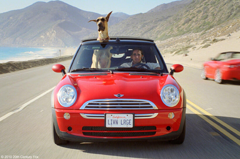 Marmaduke (voice of Owen Wilson) and Lee Pace as Phil in "Marmaduke."