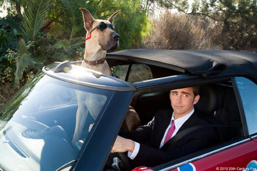 Marmaduke (voice of Owen Wilson) and Lee Pace as Phil in "Marmaduke."