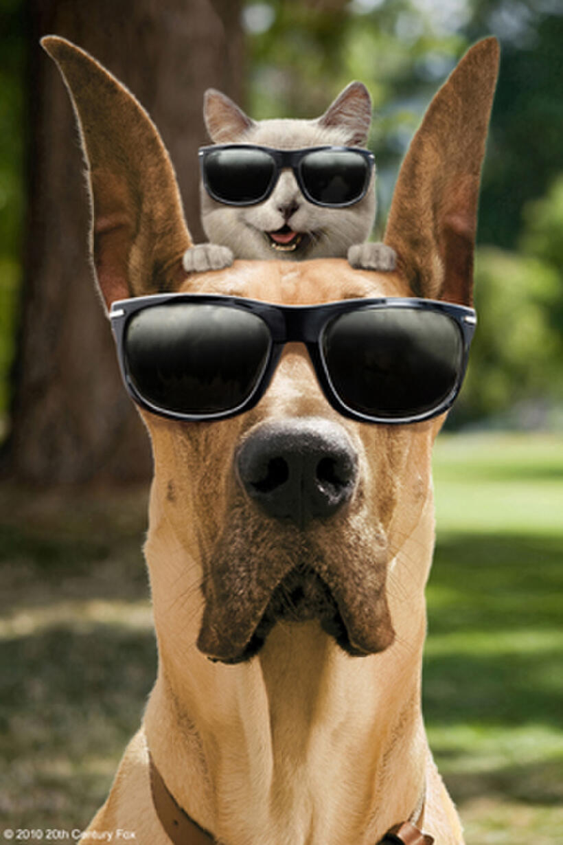 Carlos (voice of George Lopez) and  Marmaduke (voice of Owen Wilson) in "Marmaduke."