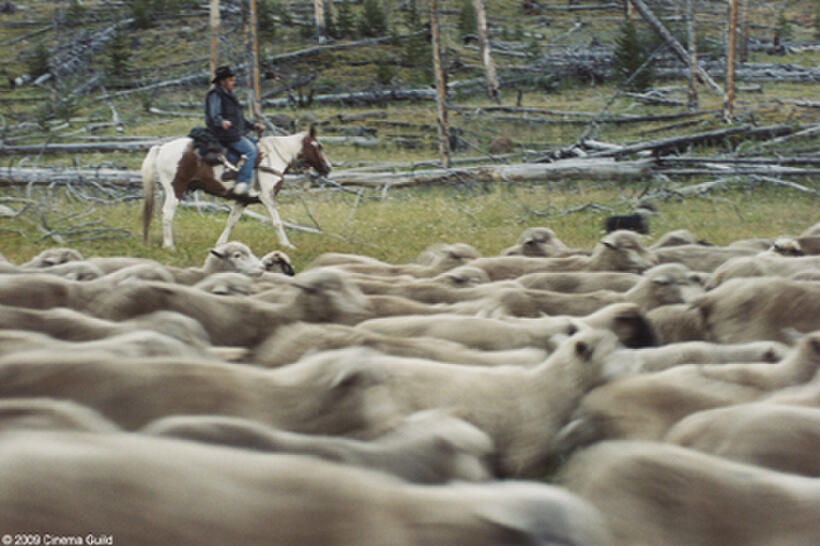 A scene from the film "Sweetgrass."