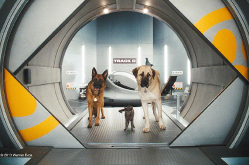 A scene from the film "Cats & Dogs: The Revenge of Kitty Galore."