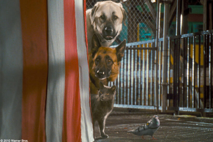 A scene from the film "Cats & Dogs: The Revenge of Kitty Galore."