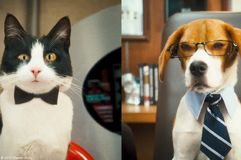 Tab Lazenby and Lou in "Cats & Dogs: The Revenge of Kitty Galore."