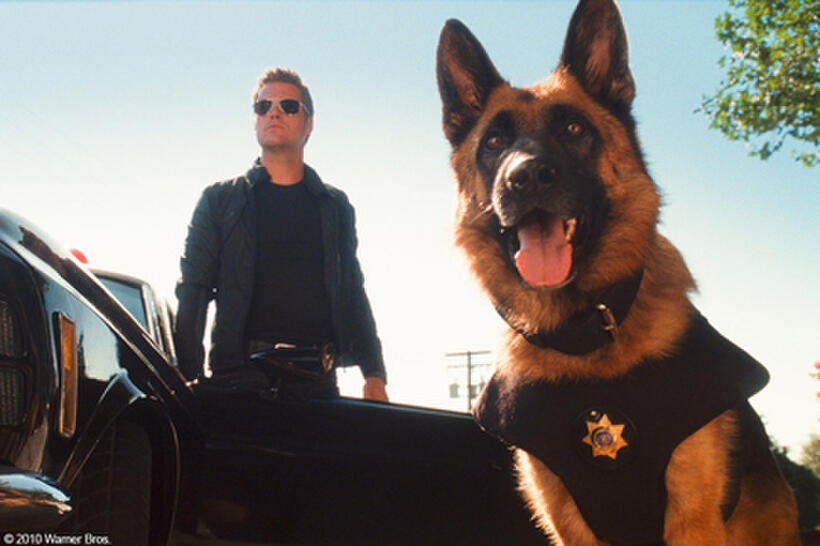 Chris O'Donnell as Shane and Diggs in "Cats & Dogs: The Revenge of Kitty Galore."