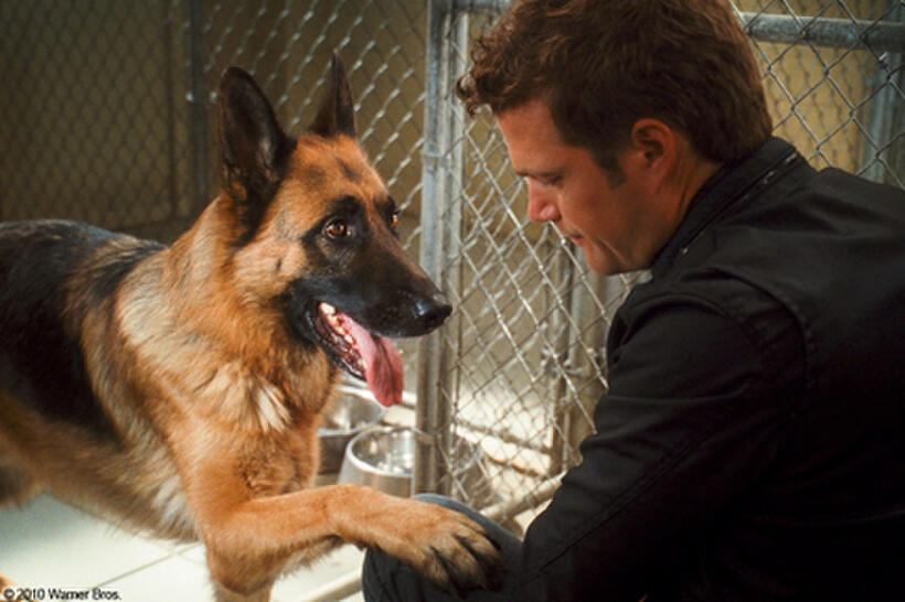 Diggs and Chris O'Donnell as Shane in "Cats & Dogs: The Revenge of Kitty Galore."