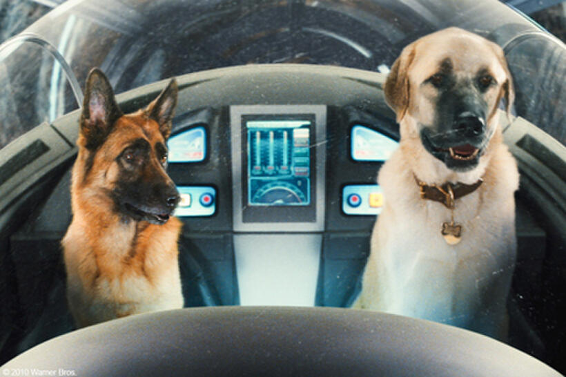 Diggs and Butch in "Cats & Dogs: The Revenge of Kitty Galore."