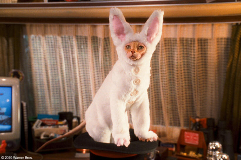 Kitty Galore in "Cats & Dogs: The Revenge of Kitty Galore."