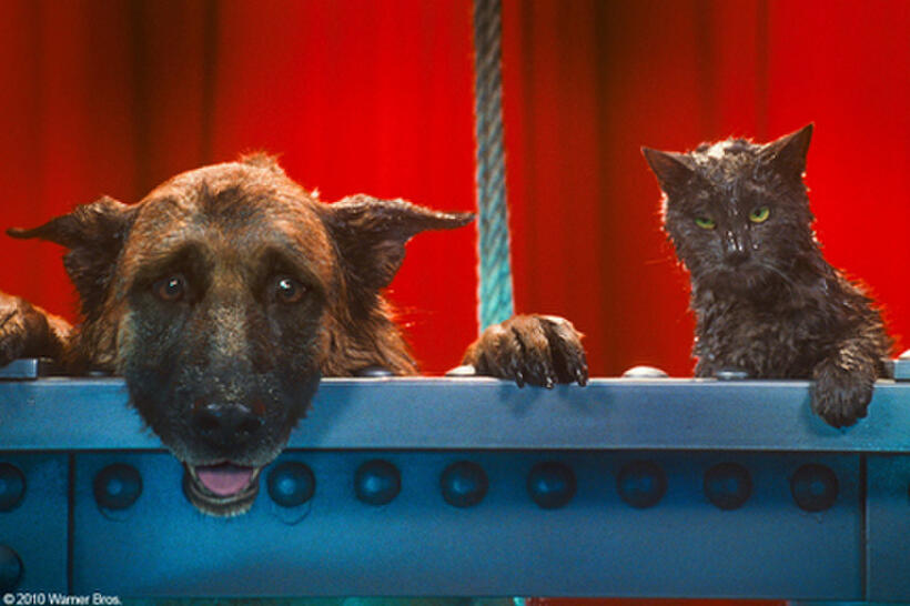Diggs and Catherine in "Cats & Dogs: The Revenge of Kitty Galore."