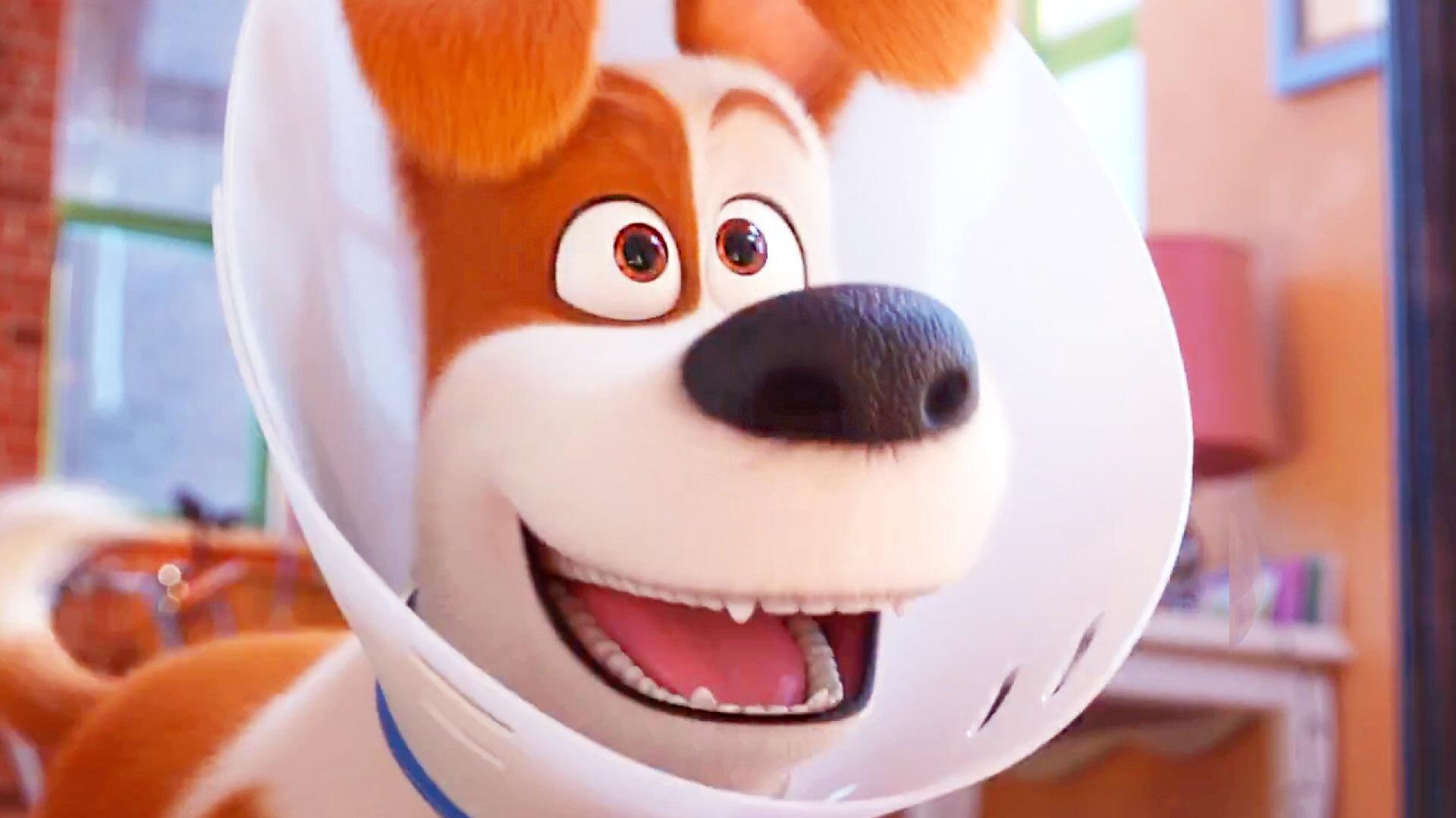 The Secret Life Of Pets 2 Tickets Showtimes Near You Fandango So imagine while you are away, your pets run away, get caught by animal control, get nearly run over by cars, get hurt, nearly drown, and return while you. the secret life of pets 2 tickets