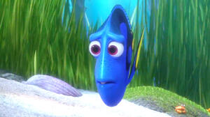 Finding Dory Tickets Showtimes Near You Fandango The characters are immersed in salty water, so the audience should be, too.) these are tremendously effective moments. finding dory tickets showtimes near
