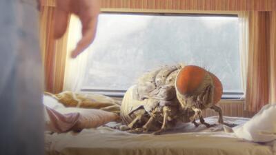 Mandibles