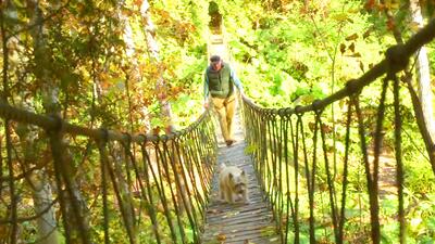 The Gardener