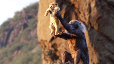 The Lion King