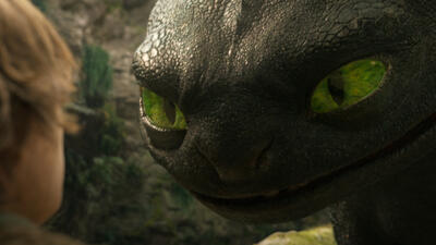 How to Train Your Dragon
