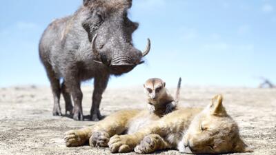 The Lion King