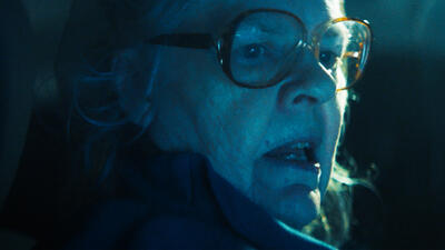 The Python Hunt