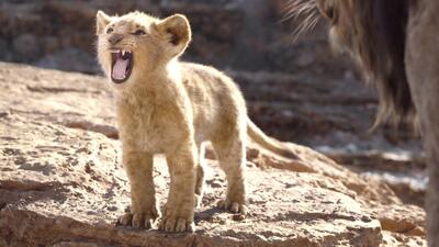 The Lion King