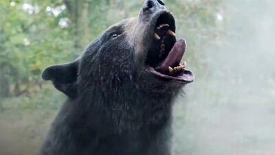 Cocaine Bear