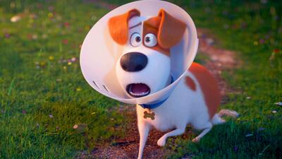 The Secret Life of Pets 2