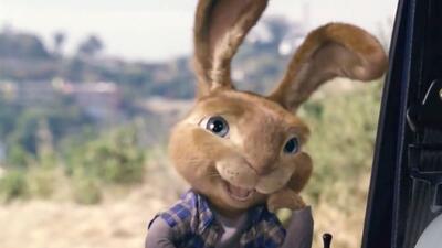 Hop