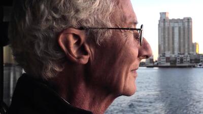 Aware: Glimpses of Consciousness