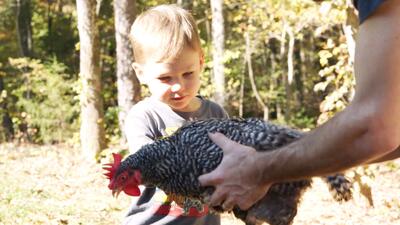 May It Last: A Portrait of the Avett Brothers
