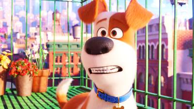 The Secret Life of Pets 2