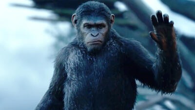 Dawn of the Planet of the Apes