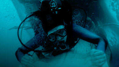 Whalefall