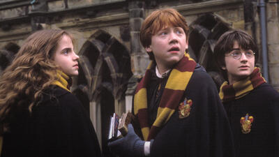 Harry Potter and the Chamber of Secrets