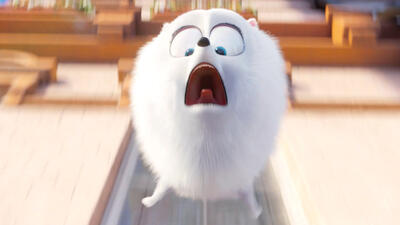 The Secret Life of Pets