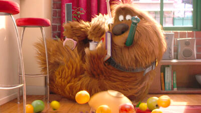 The Secret Life of Pets