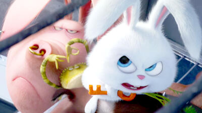 The Secret Life of Pets