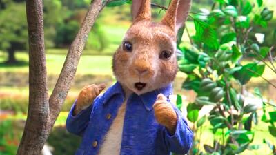 Peter Rabbit