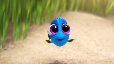 Finding Dory