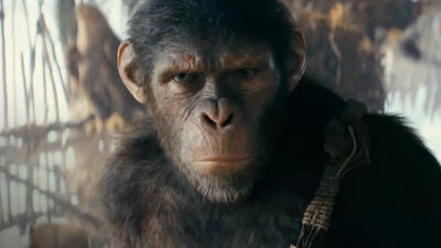 Kingdom of the Planet of the Apes
