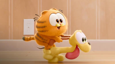 The Garfield Movie