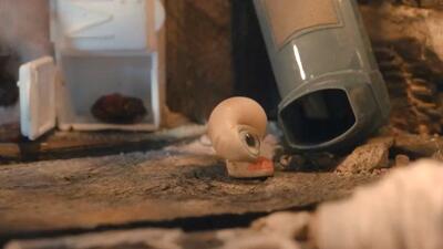 Marcel the Shell with Shoes On
